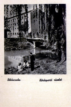 "Maj�lis", a K�r�sparton