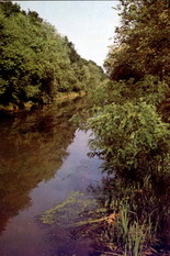 K&ouml;r&ouml;spart
